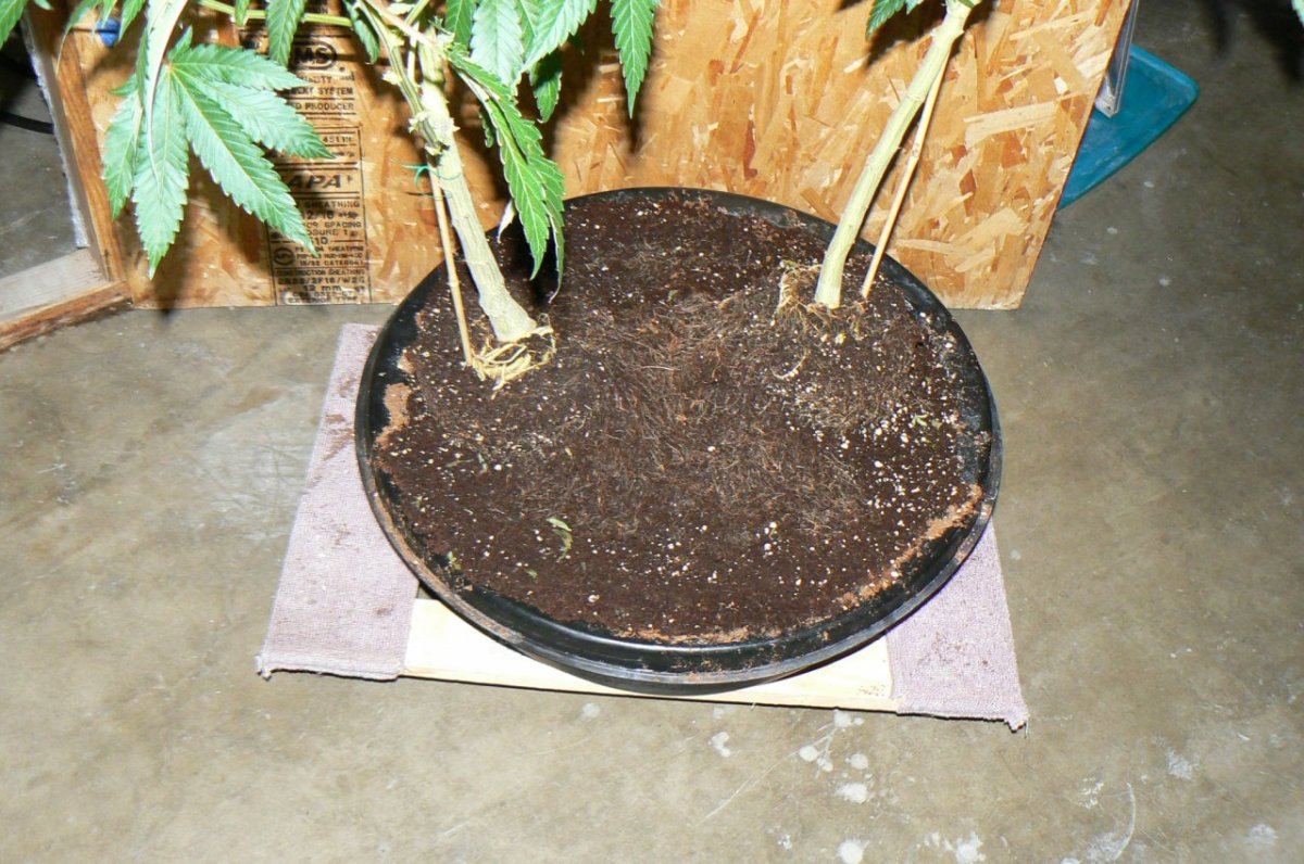 P1060078
