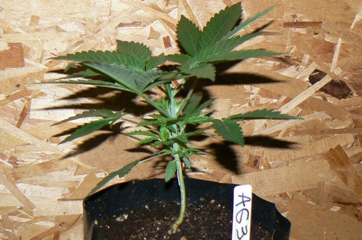P1060109