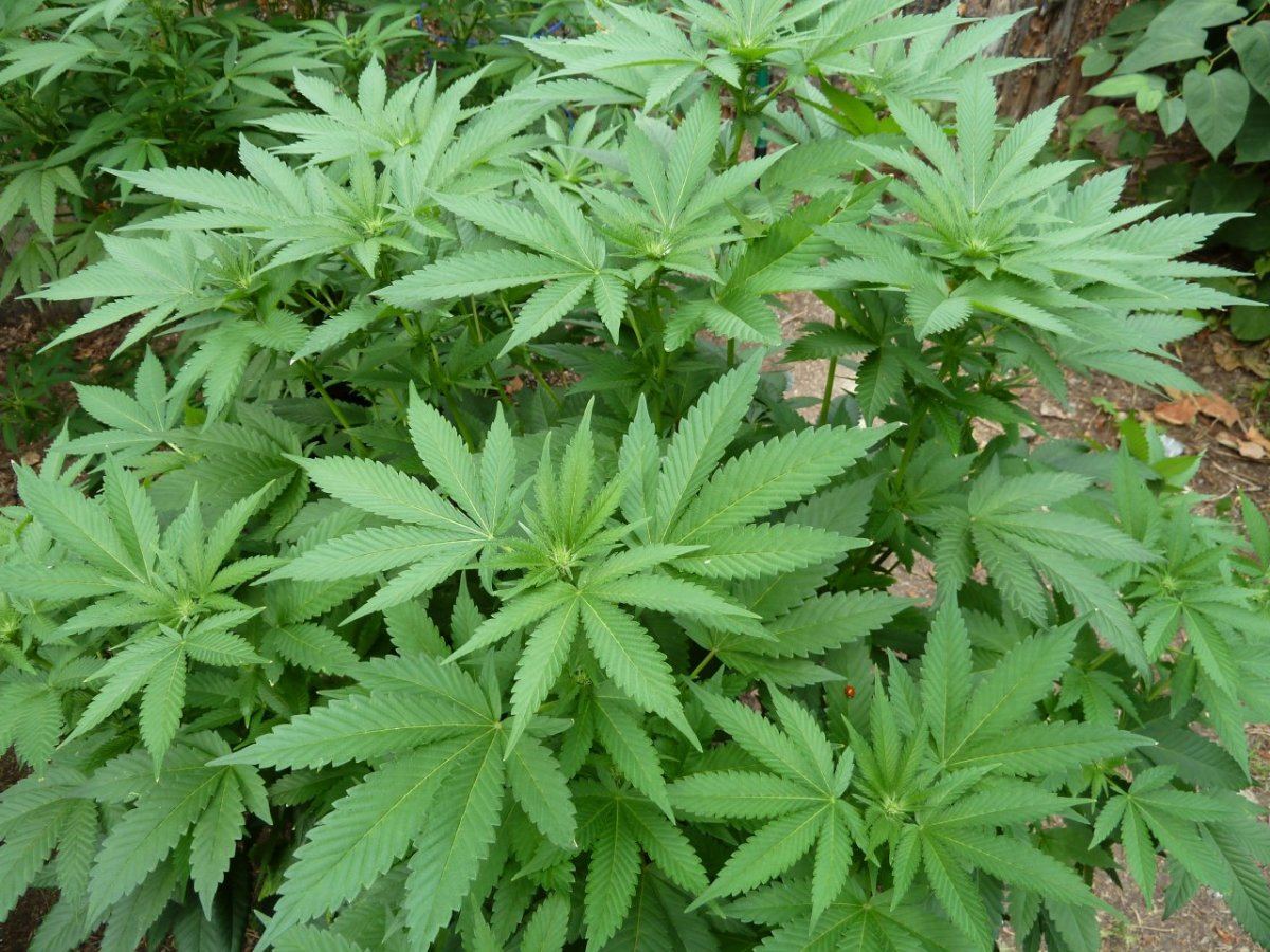 P1080128
