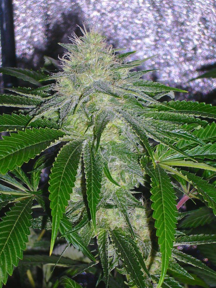 P1110902