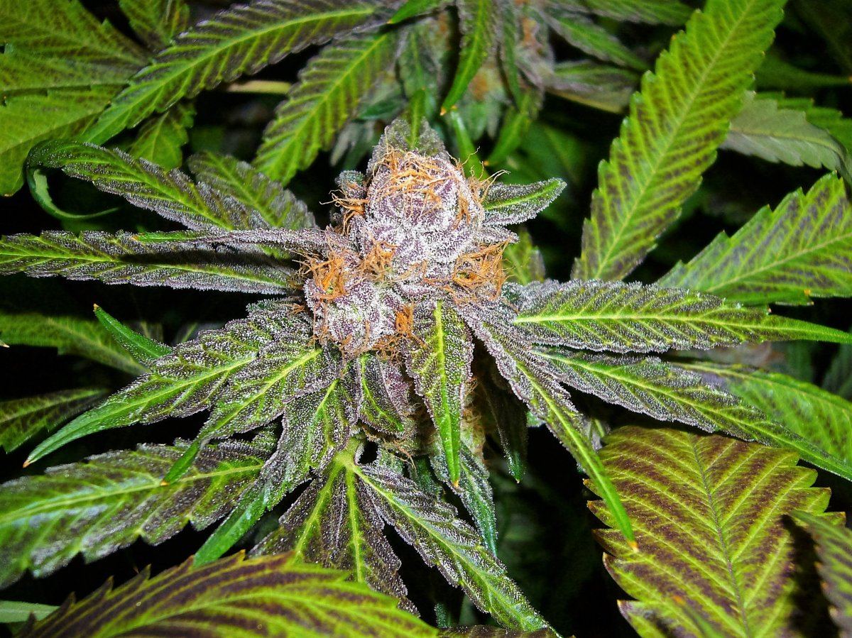 P1120174