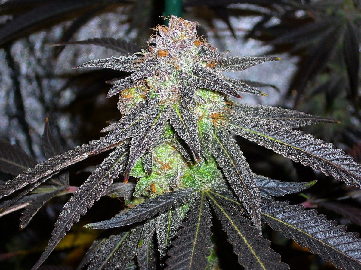 P1120848