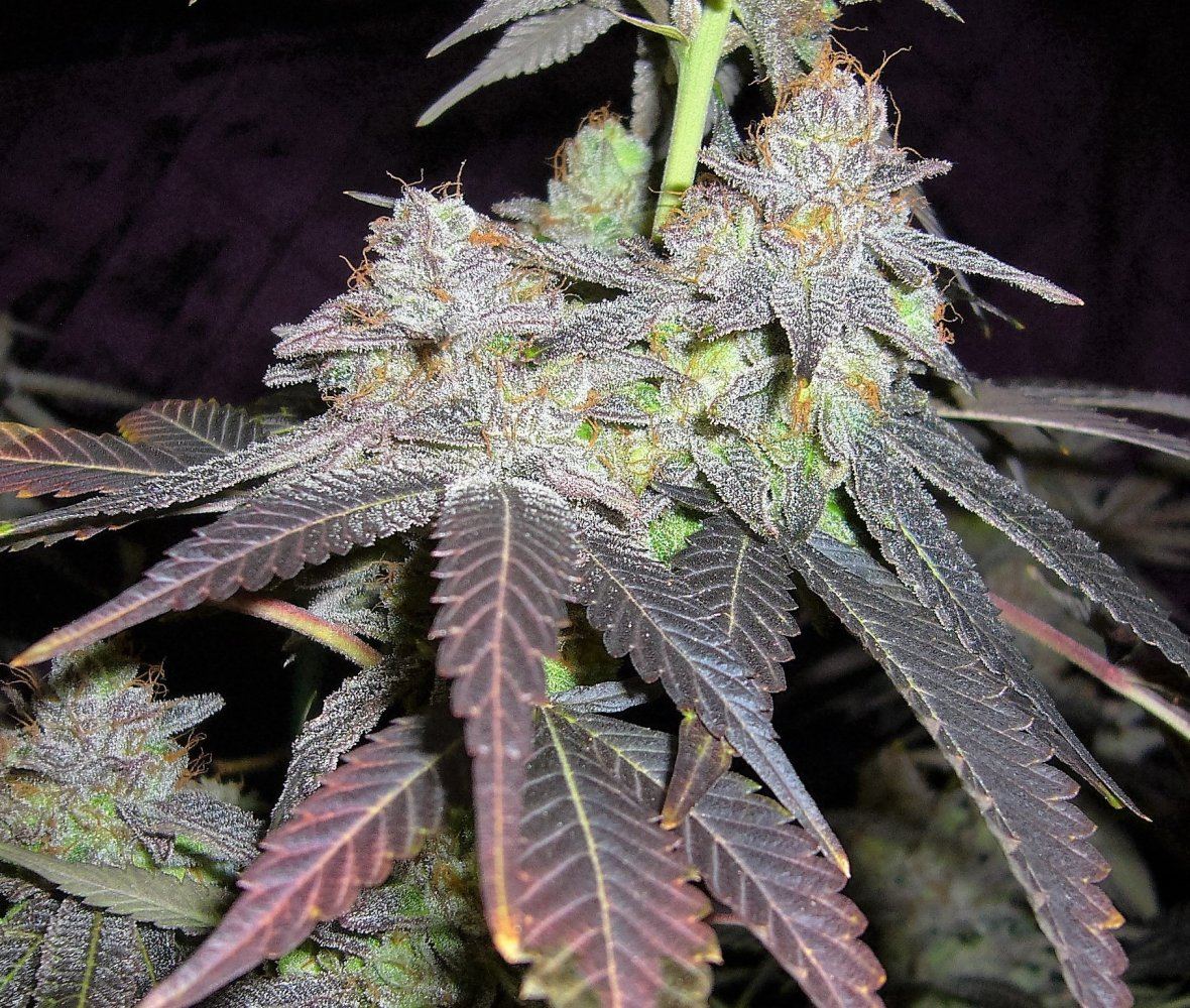 P1120998