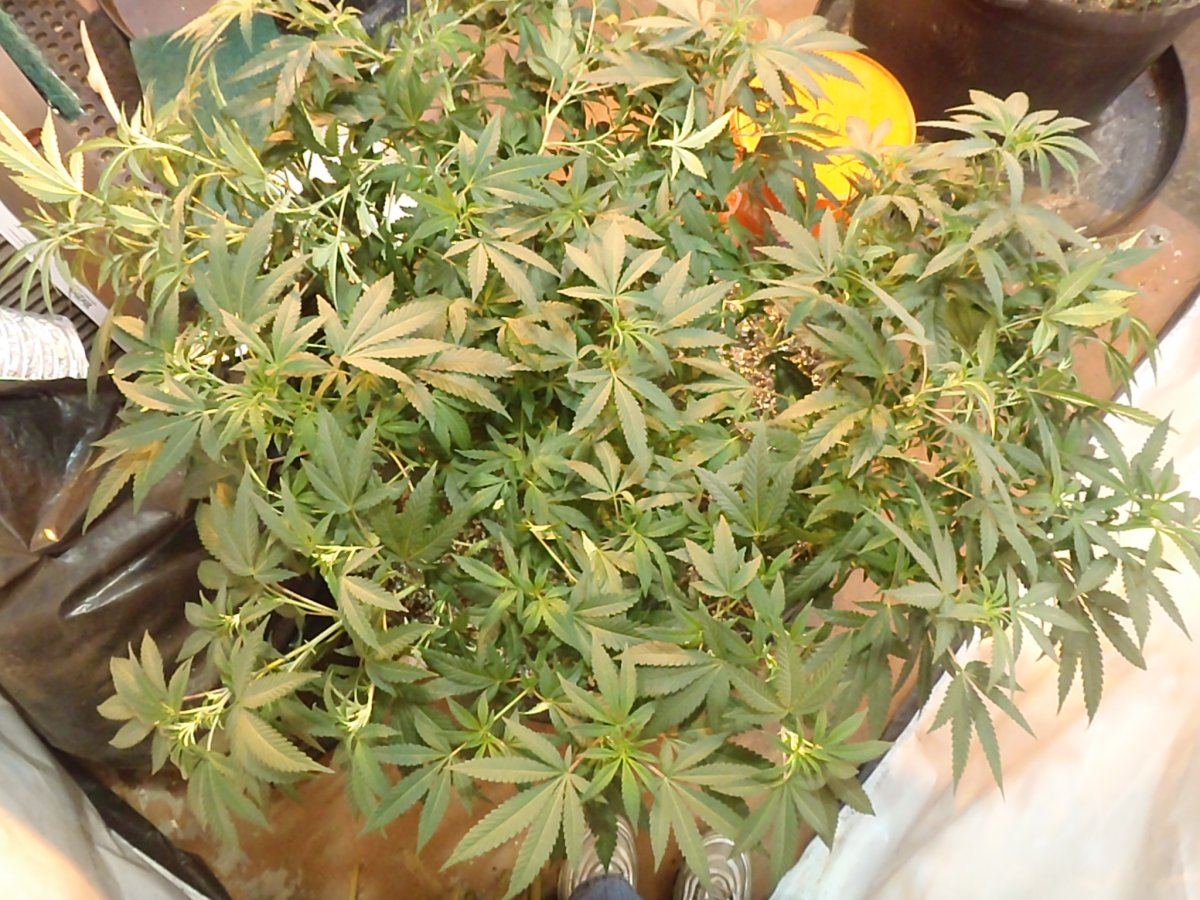 P1160027