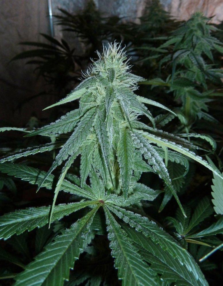 P1240016