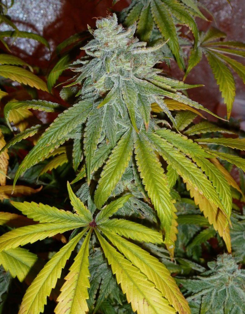 P1260056