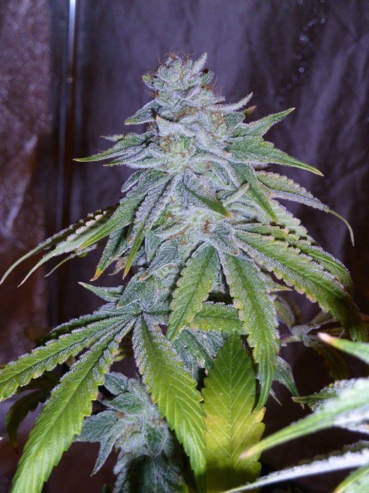 P1260070