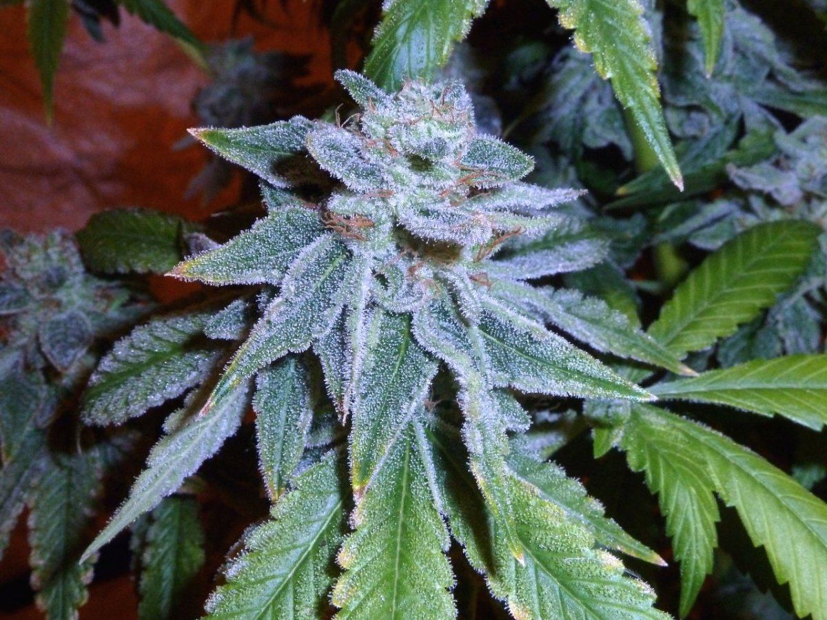 P1260076