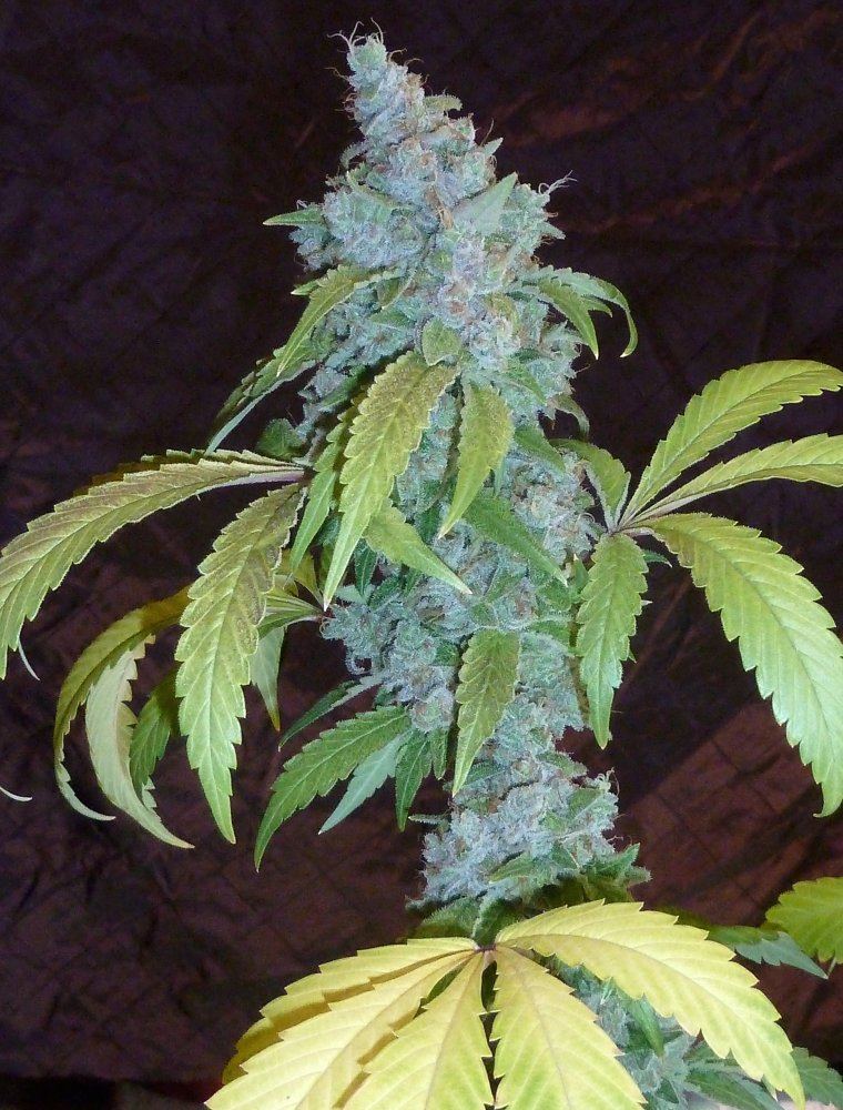 P1280072