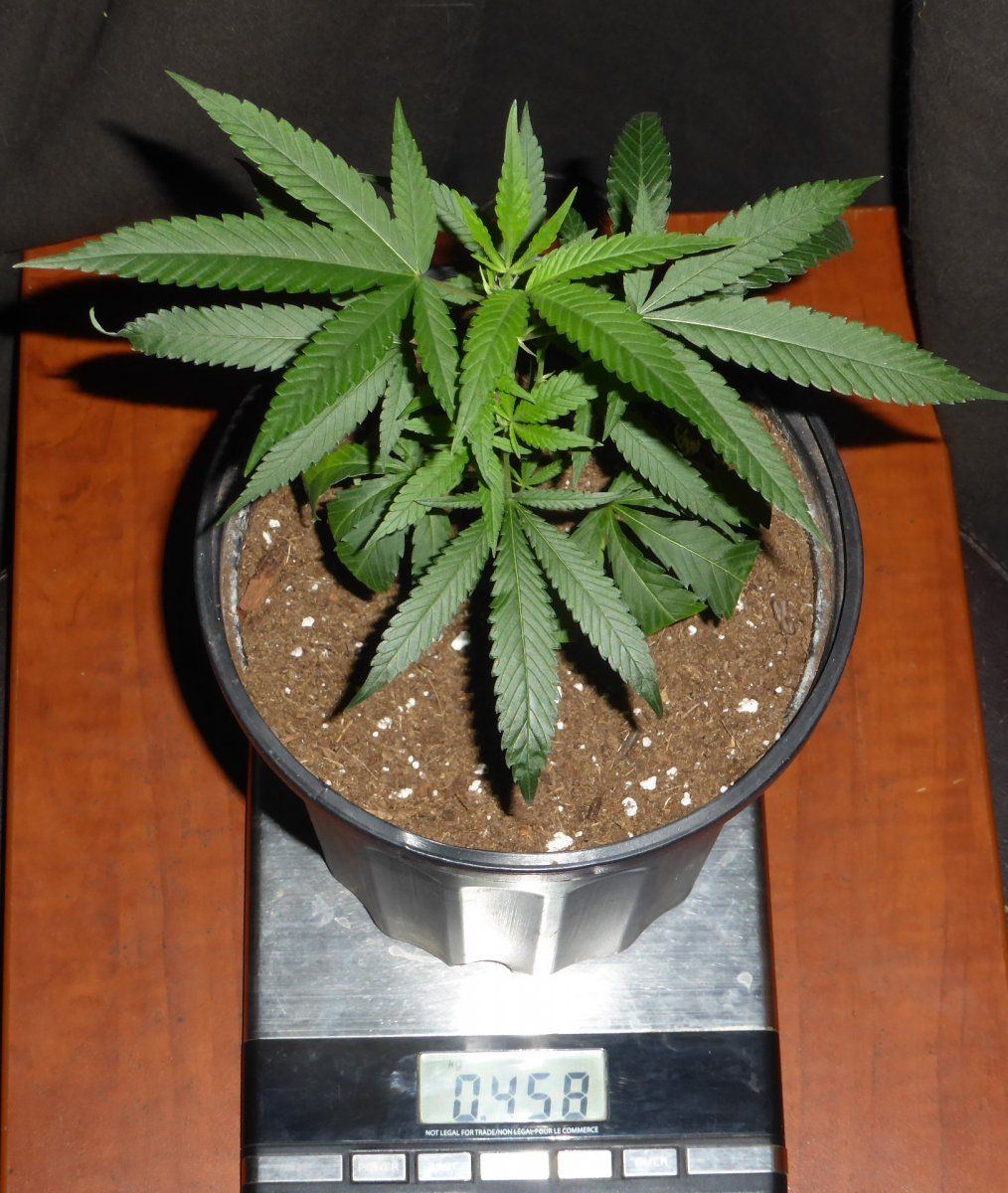 P1700792