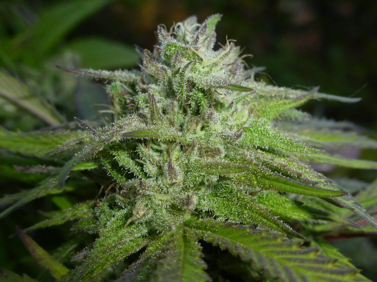P1760036