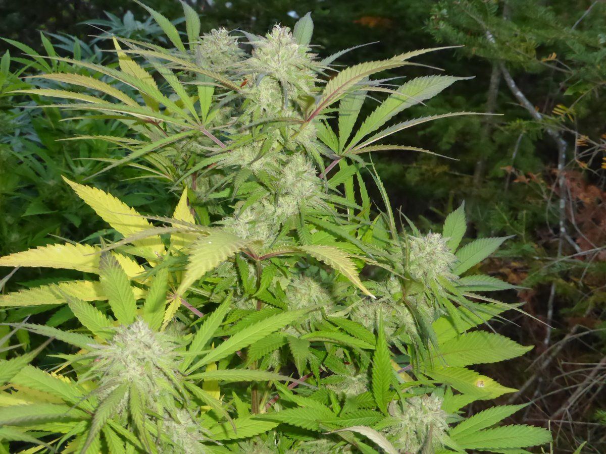 P1760048
