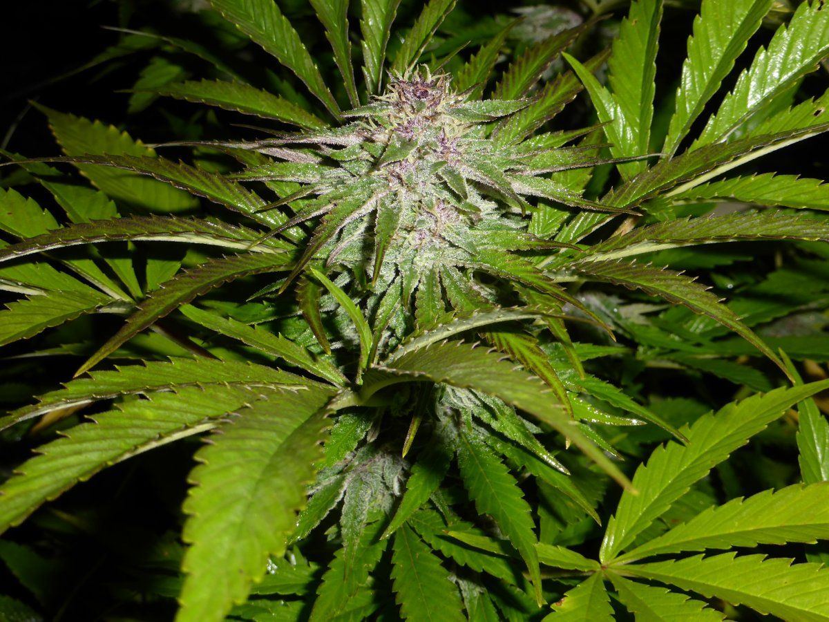 P1760848