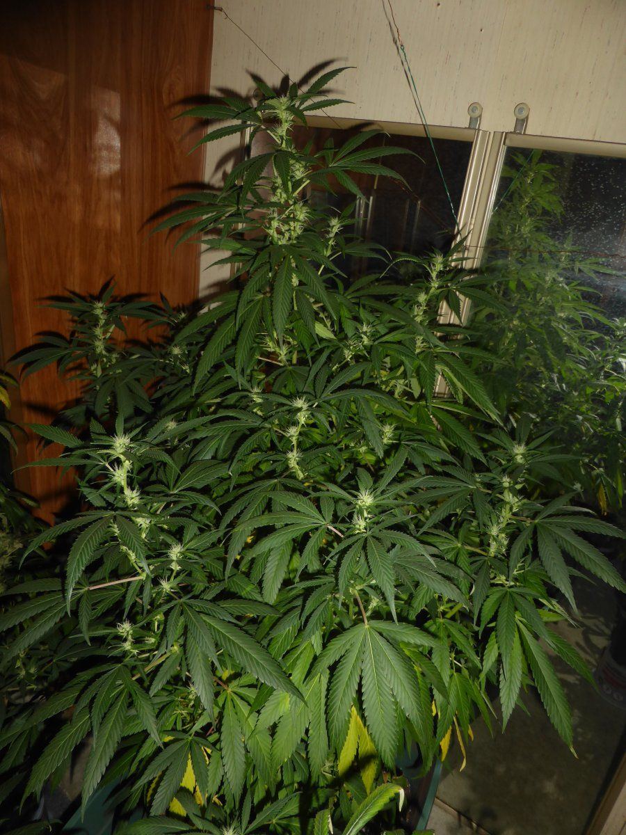 P2010221