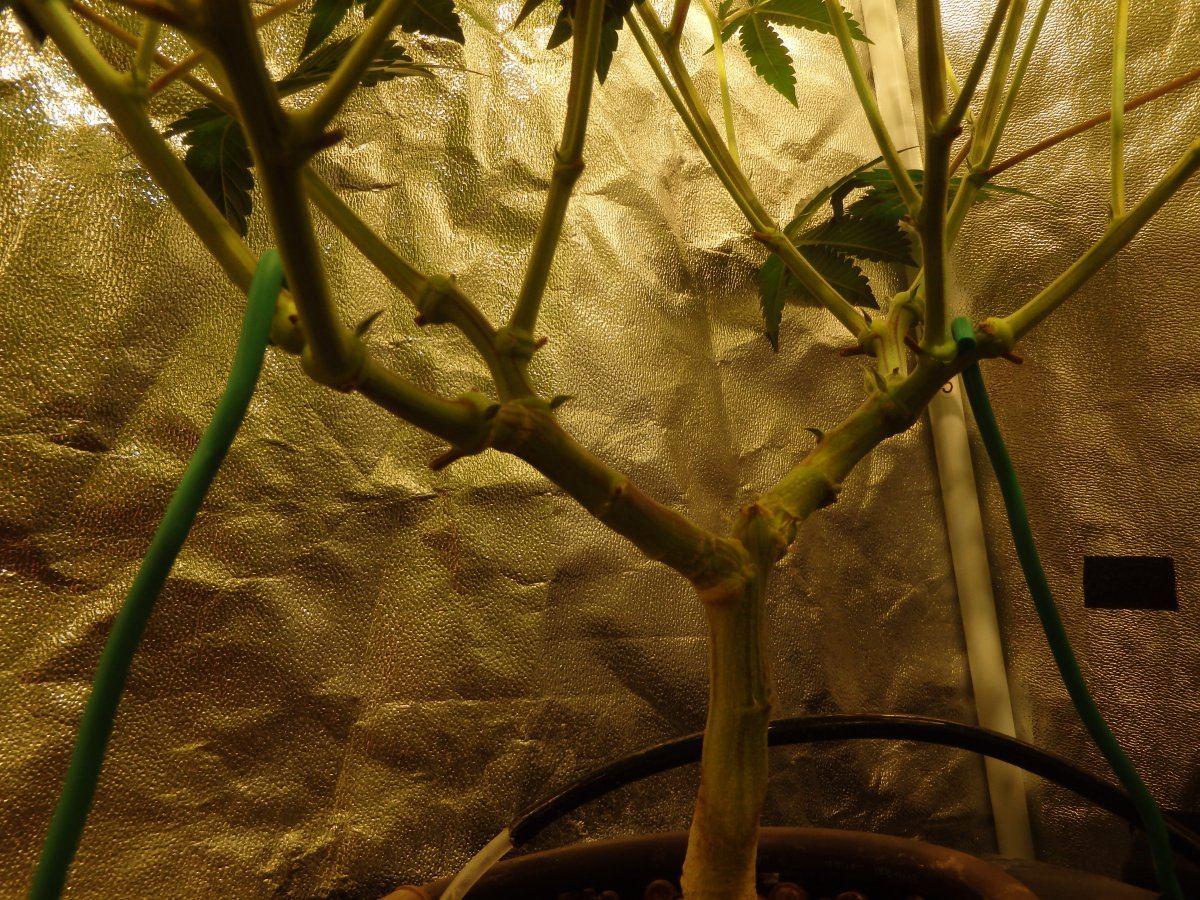 P3010075