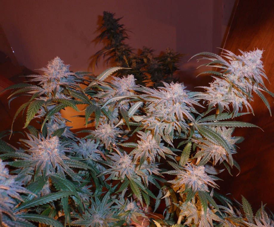 P3050110
