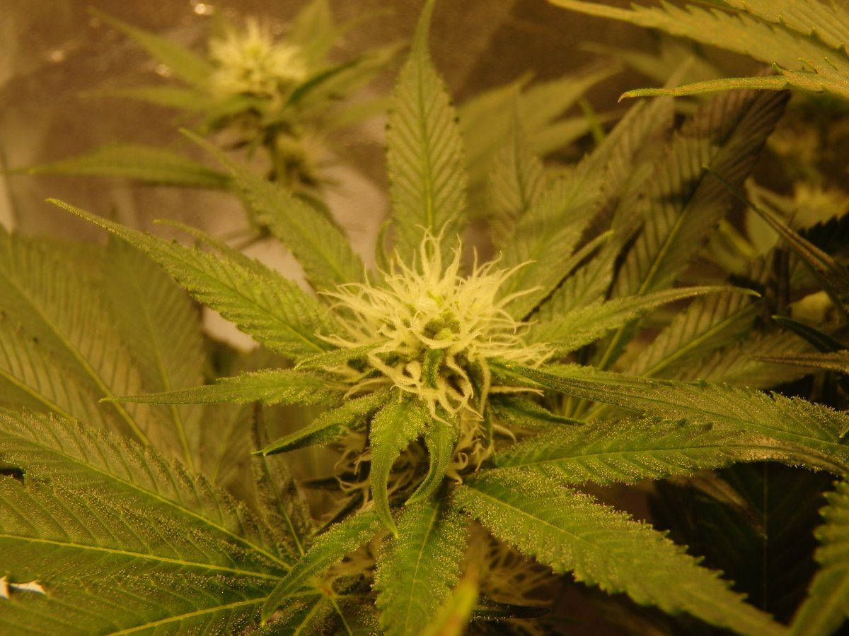 P3130097