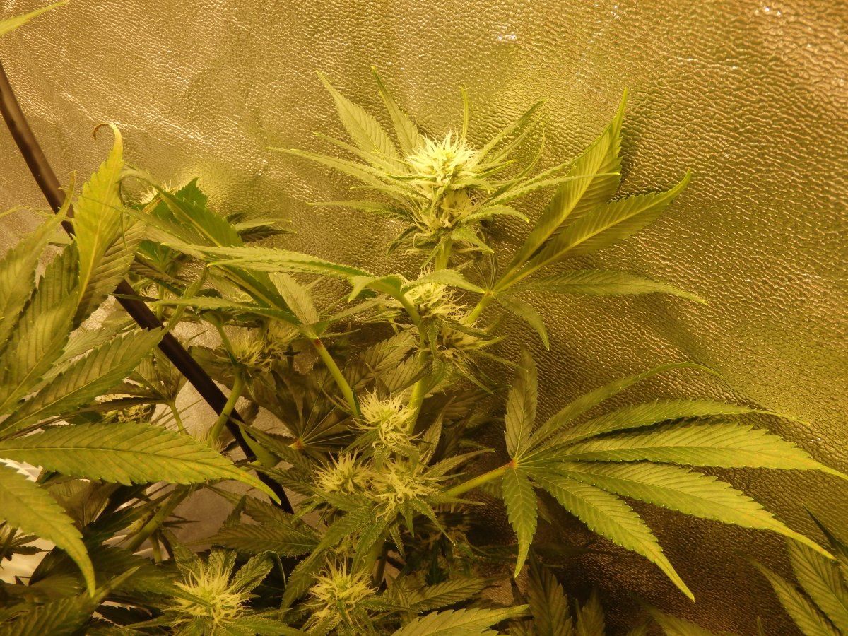 P3130098