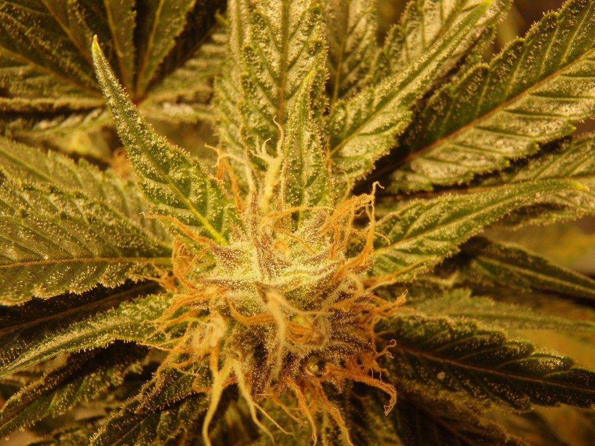 P3270113