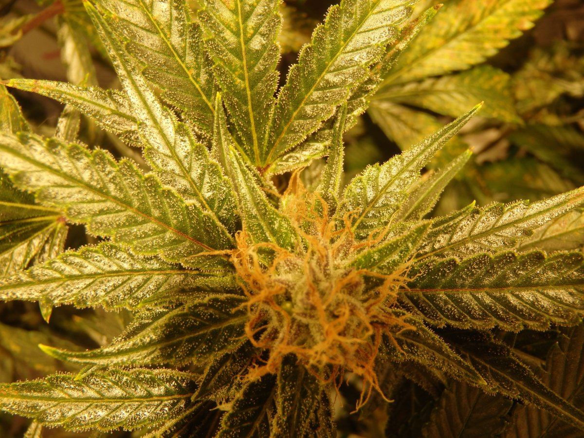 P3270114