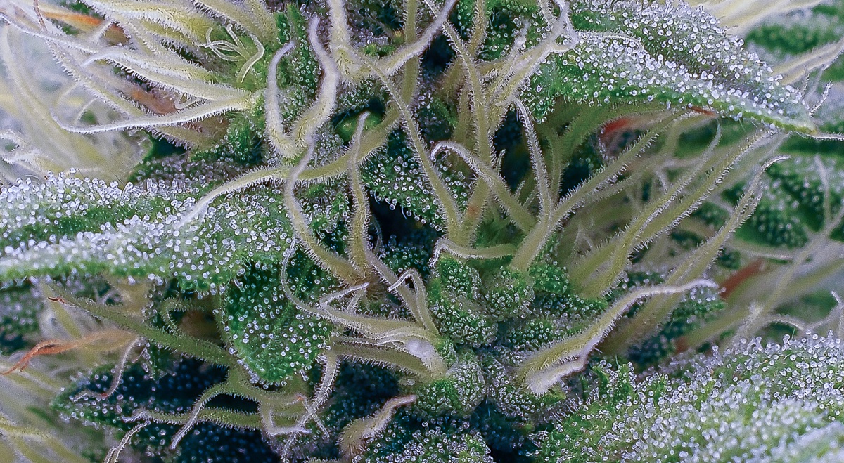 P3280035 2