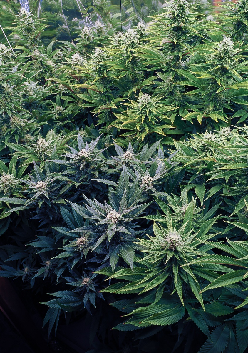 P3280045