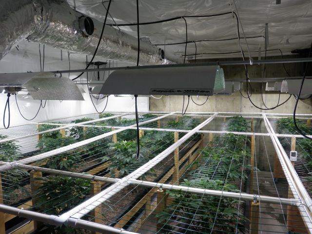 P4050208