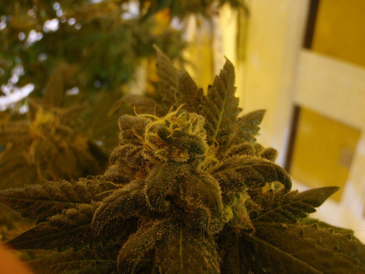 P4130010