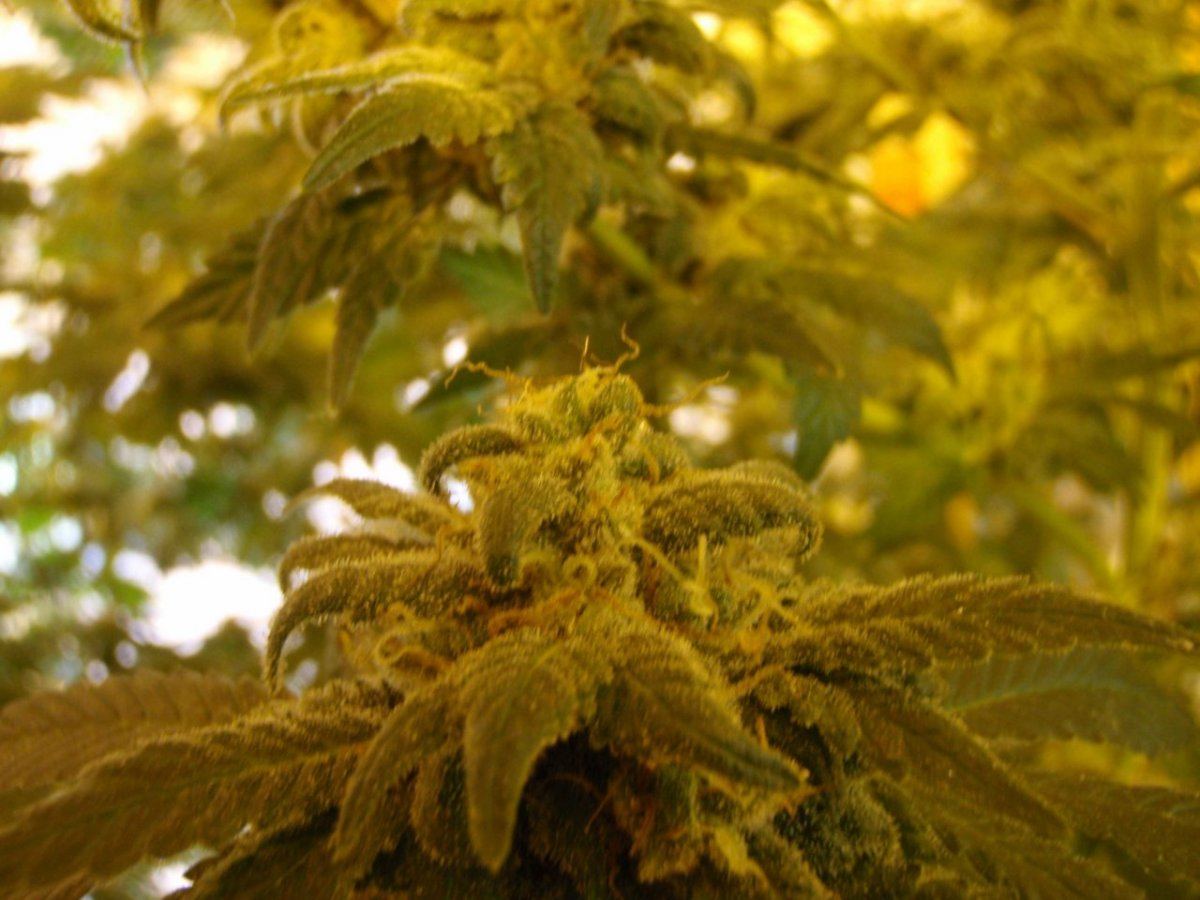 P4130020
