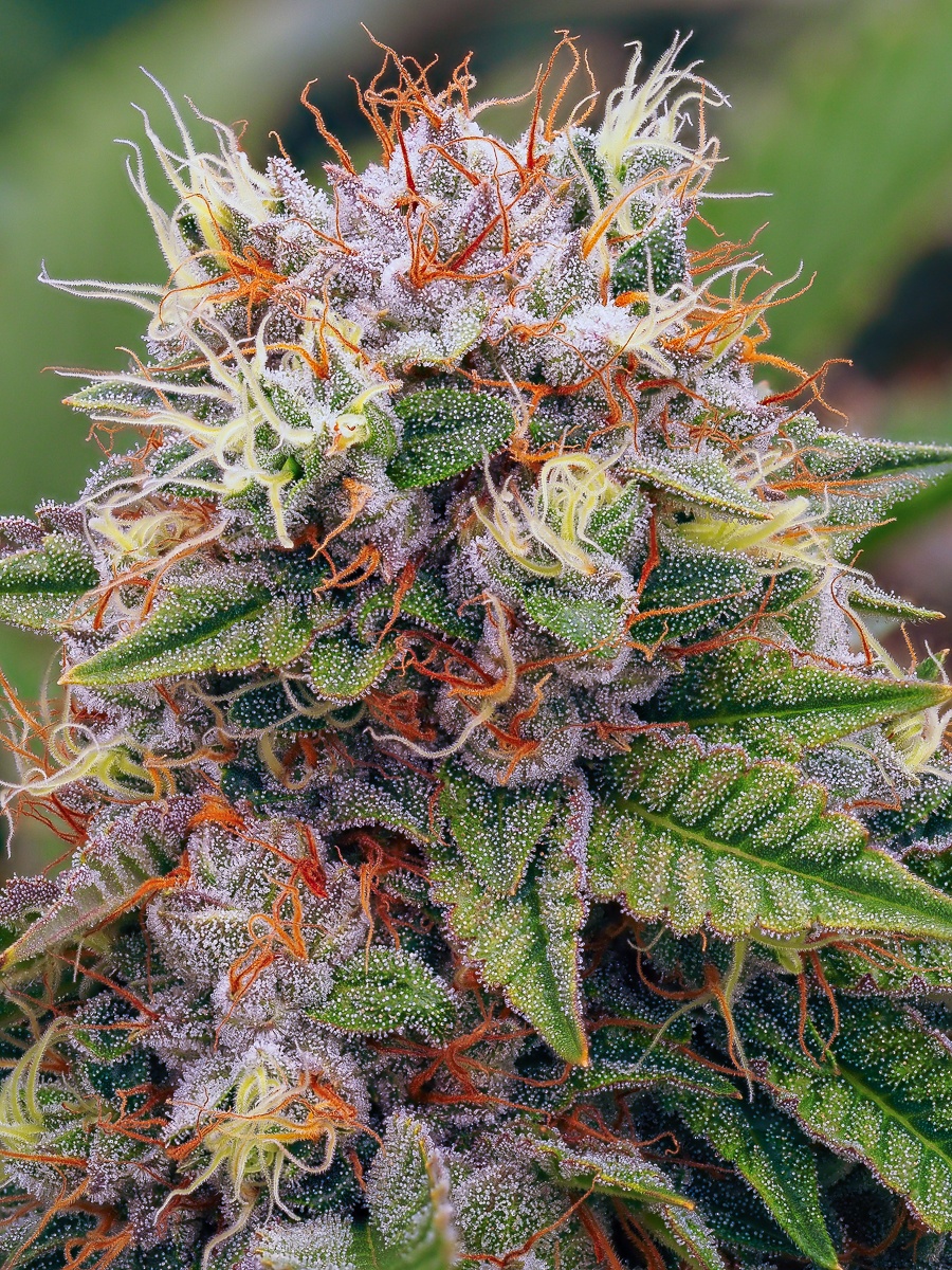 P4160027