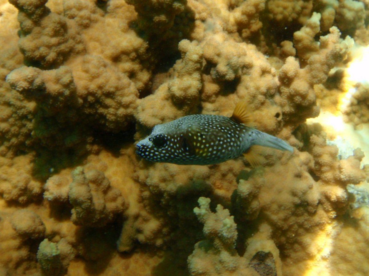 P5031164