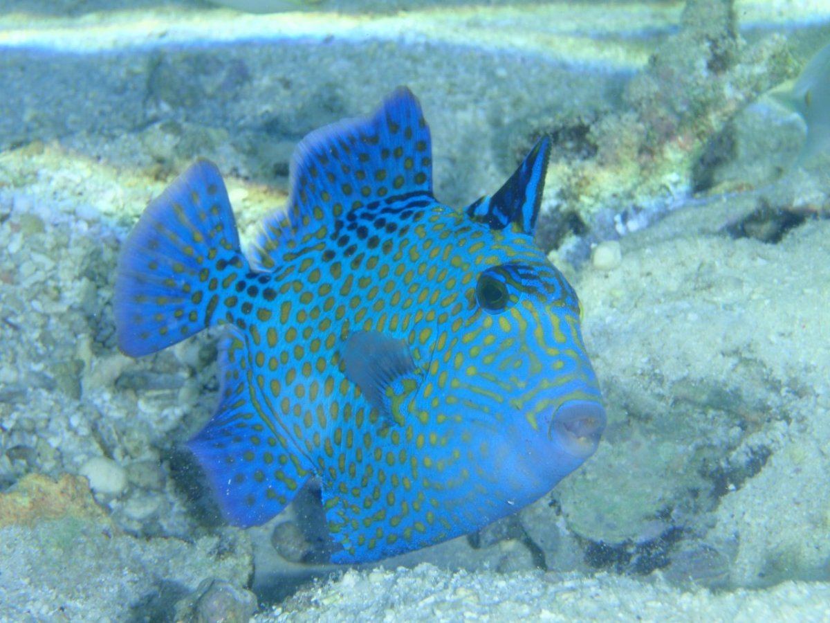 P5031188