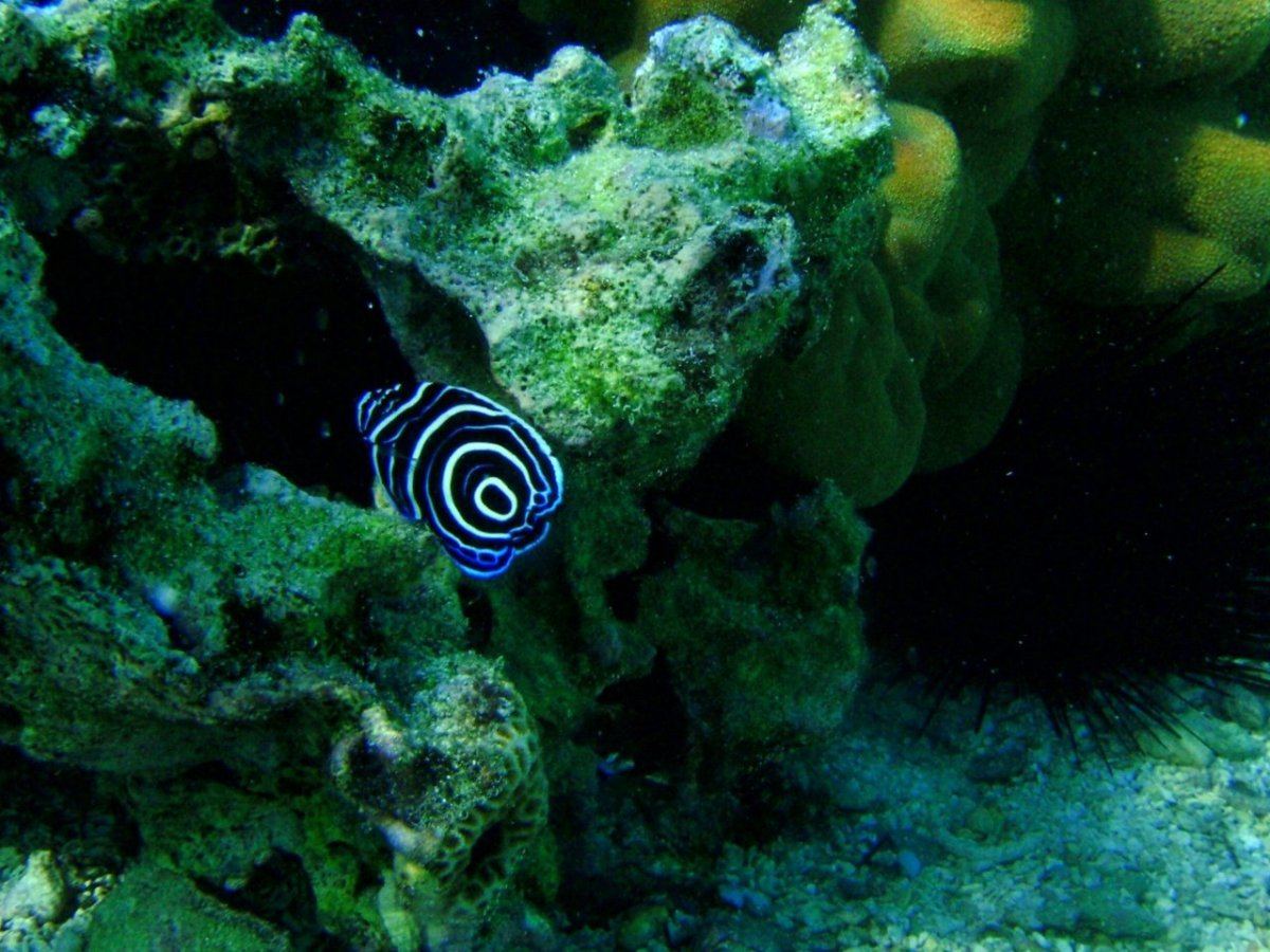 P5031278