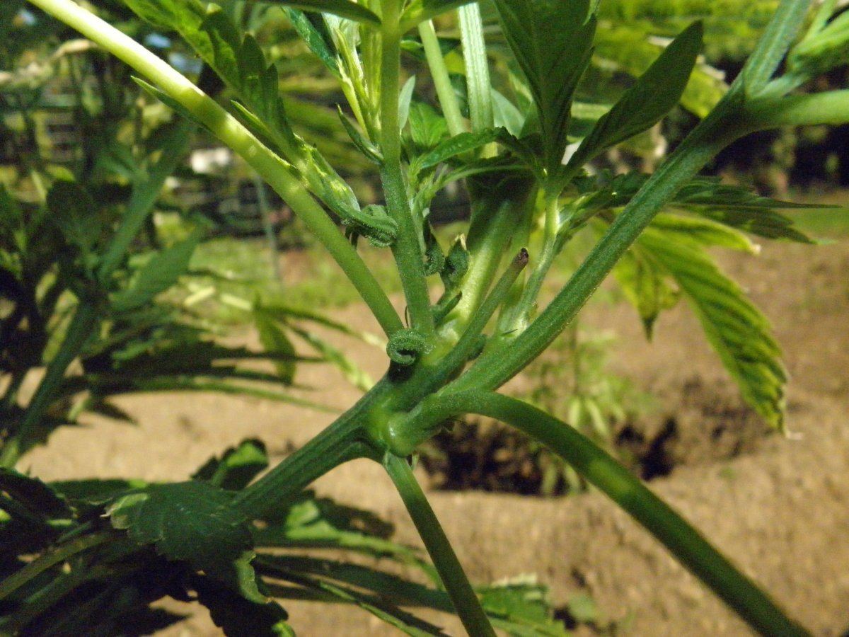 P5080028