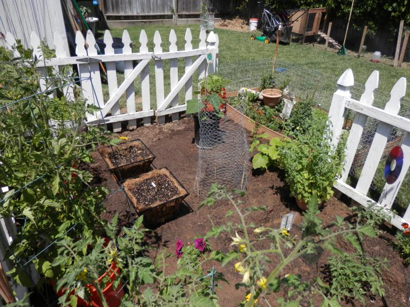 P5181107 800x600