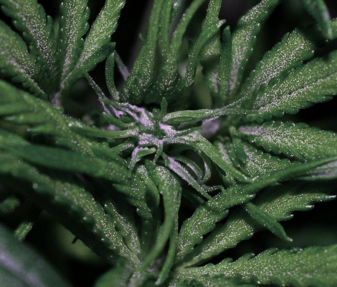 P6 F2 23 3