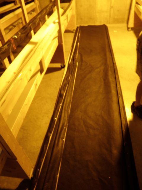 P7080026