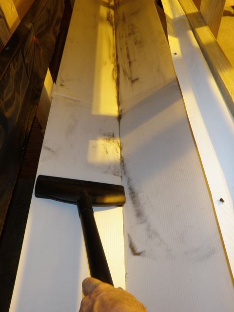 P7080027