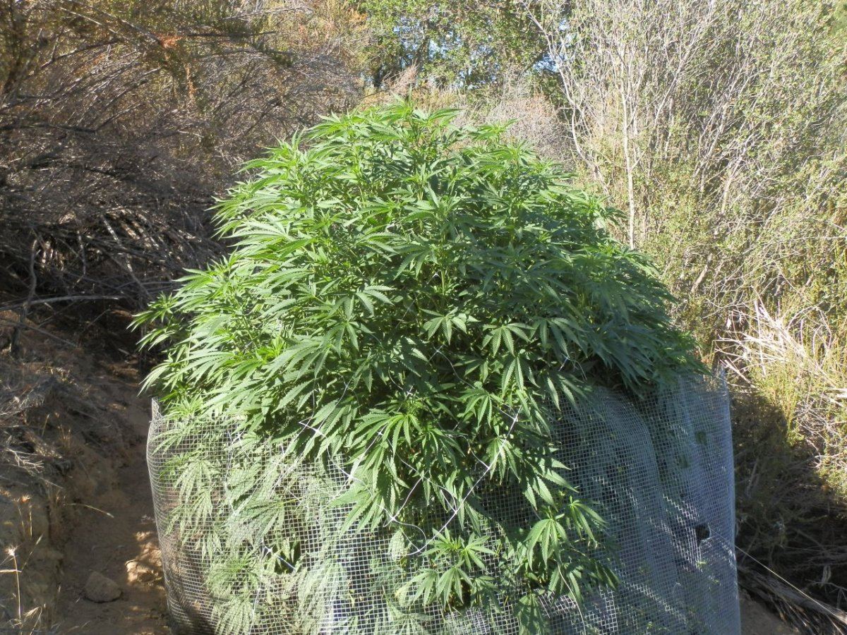 P7160050