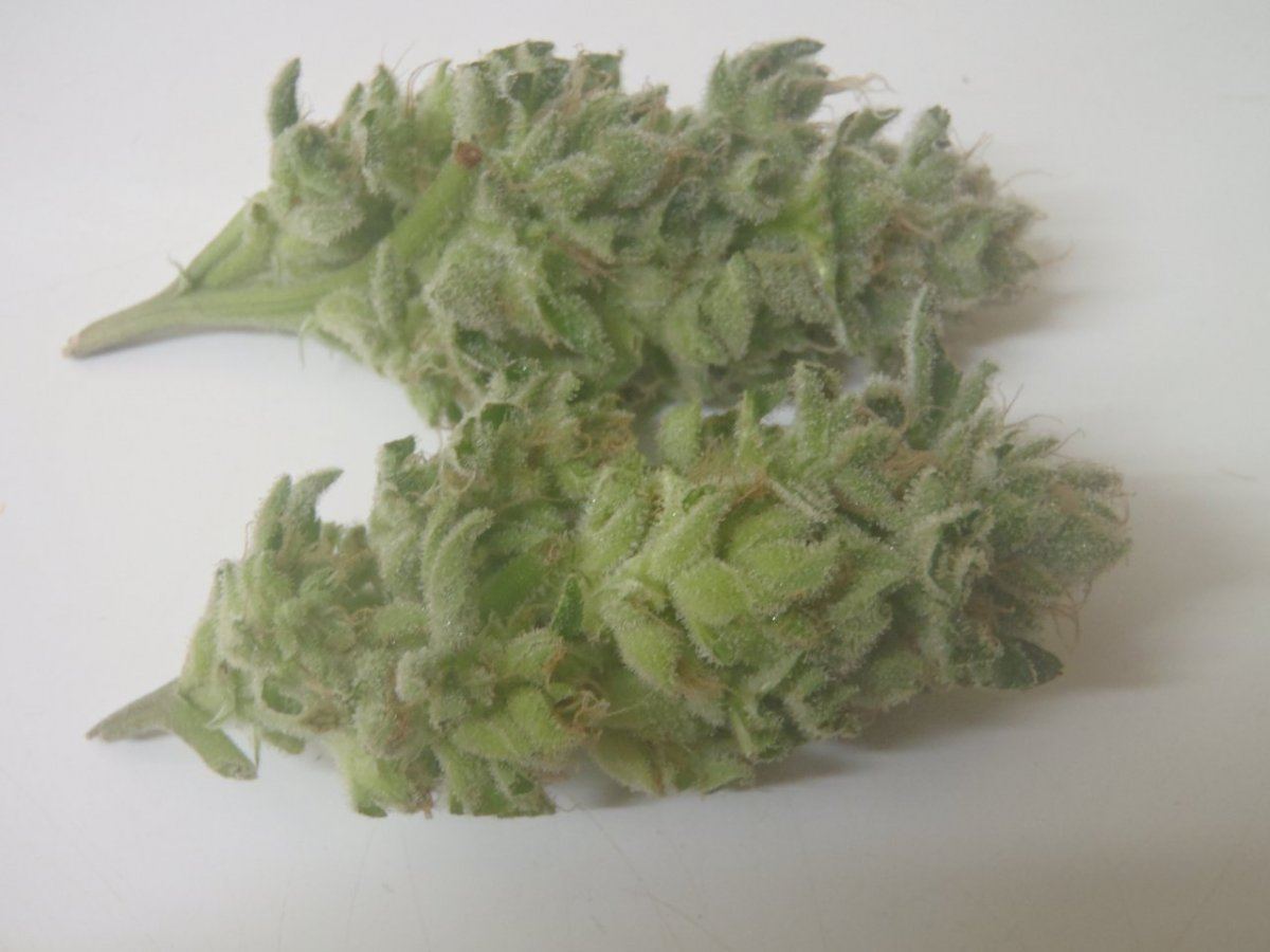 P7280118