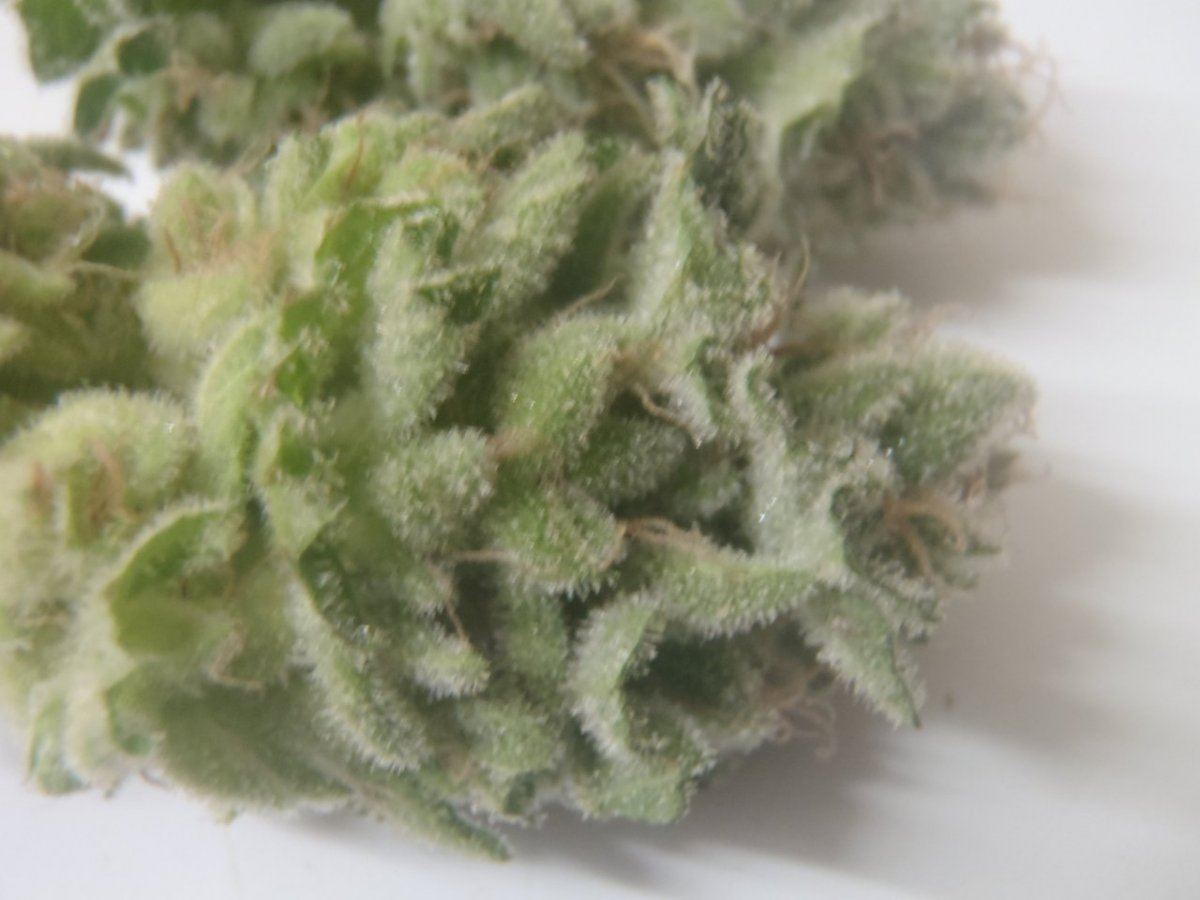 P7280122