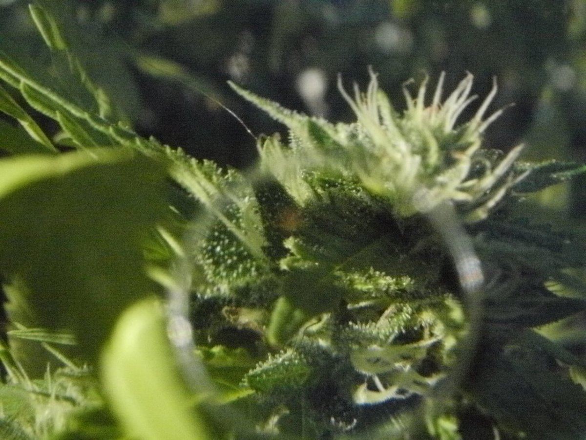 P8070021