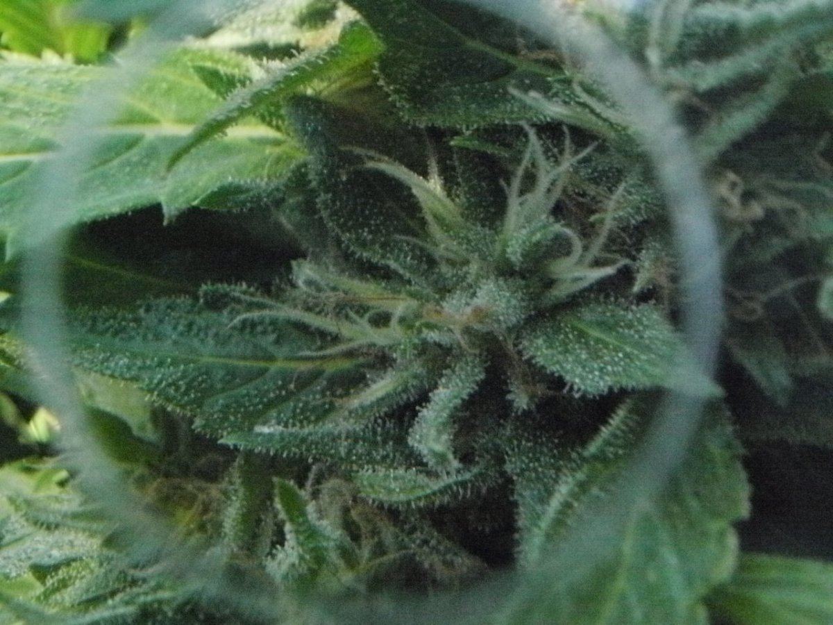 P8070024