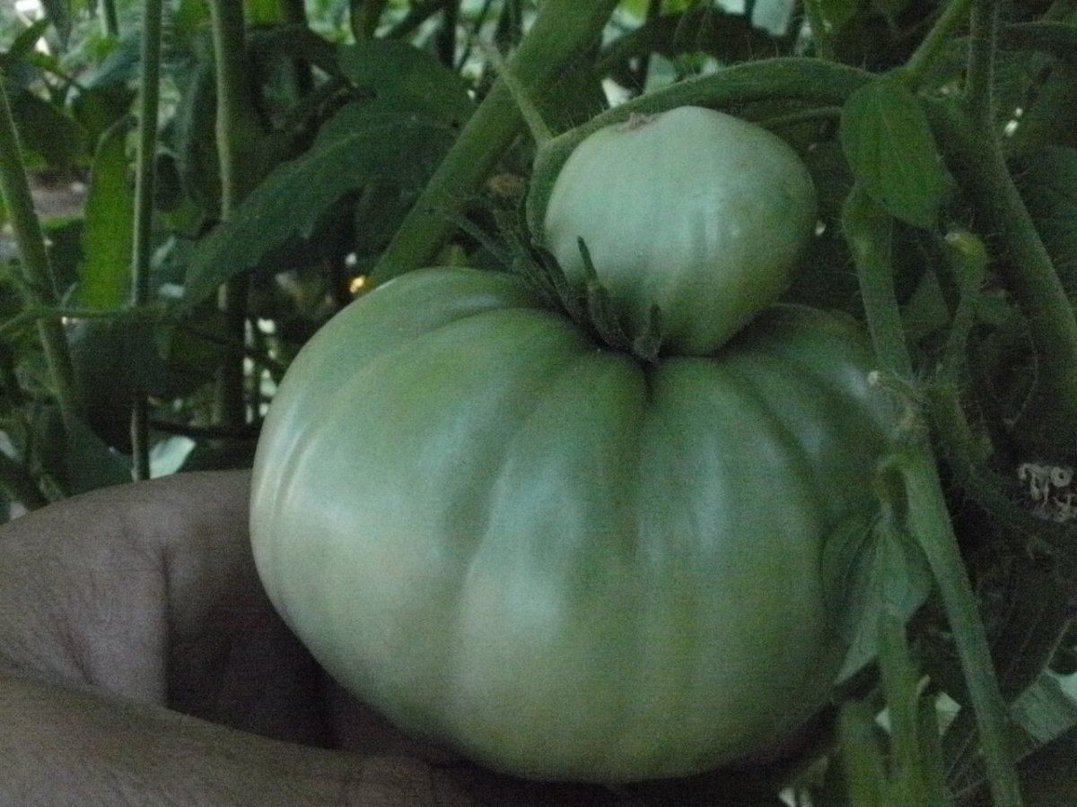 P8070030