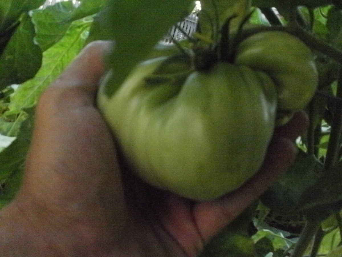 P8070032