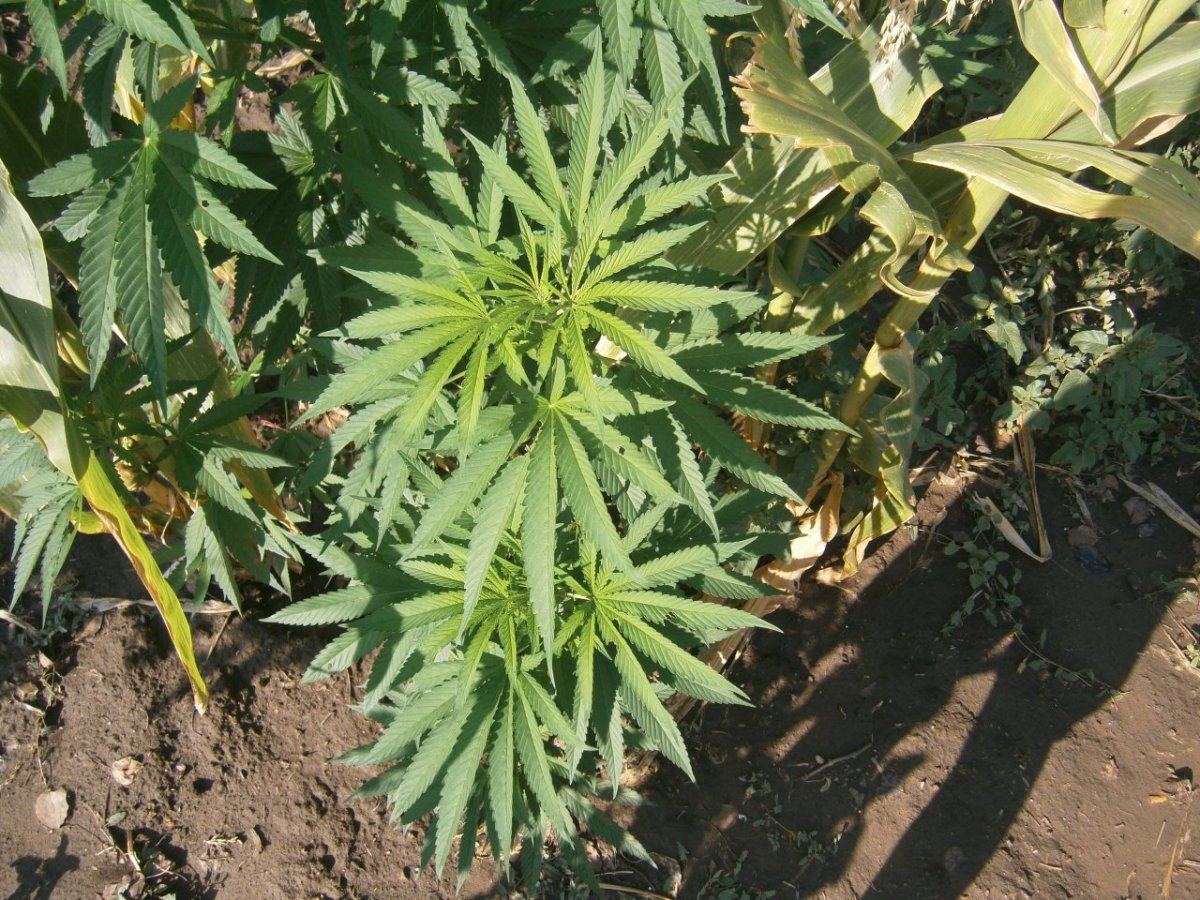 P8120030
