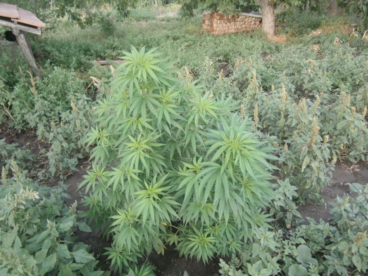 P8120104