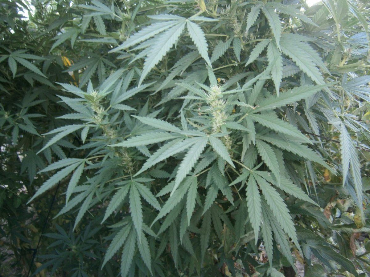 P8280012