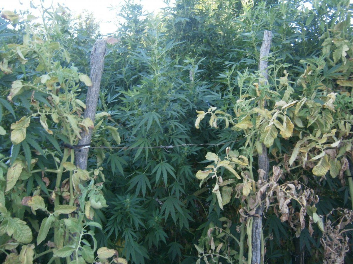 P8280024
