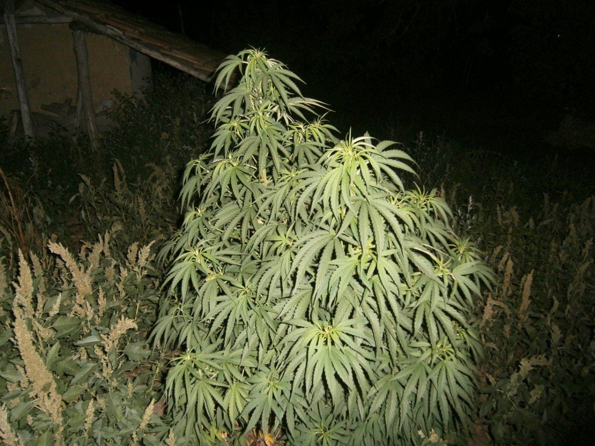 P8280031